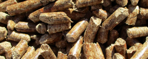 Granulés de bois