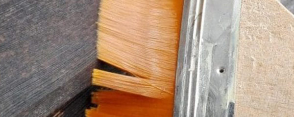 huile de tung