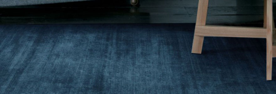 tapis bleu canard