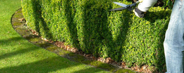 Aménagement de jardins